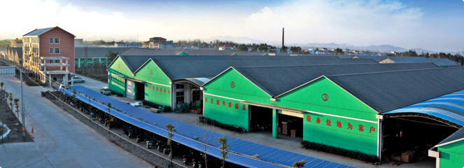 開洋木門 開門喜洋洋，匠心鑄就品質生活